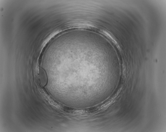X0000085010883200703191113