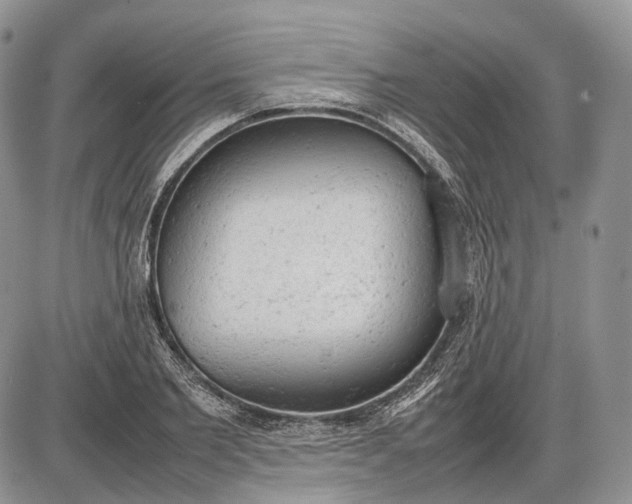 X0000085010885200703191113