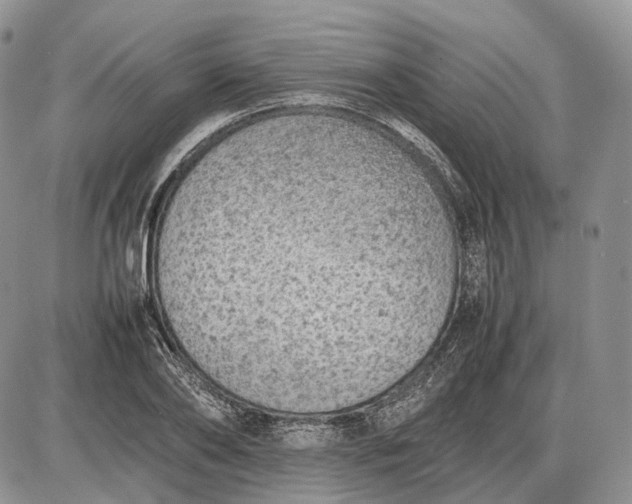 X0000085010886200703191113