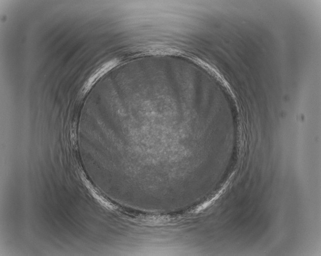 X0000085010889200703191112