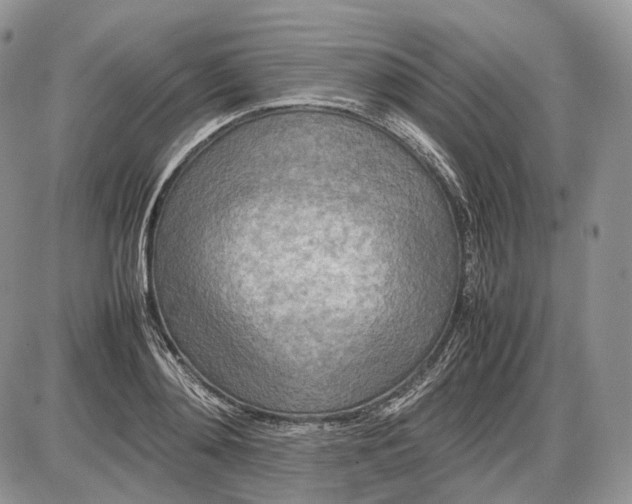 X0000085010892200703191112