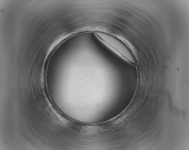 X0000085010894200703191112
