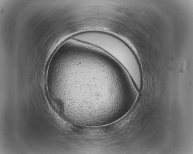 X0000085010895200703191112