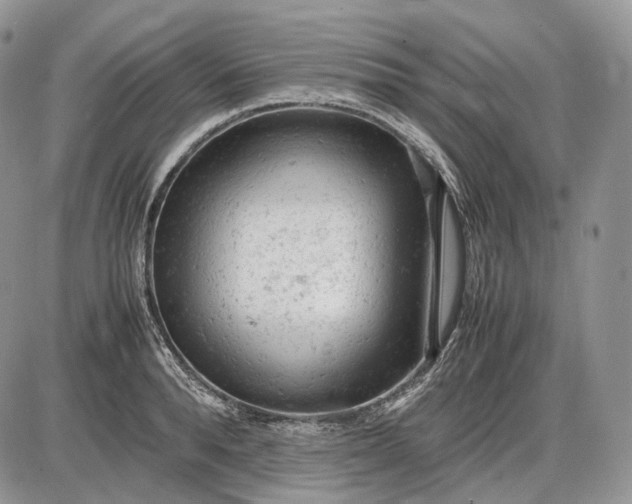 X0000085010896200703191112