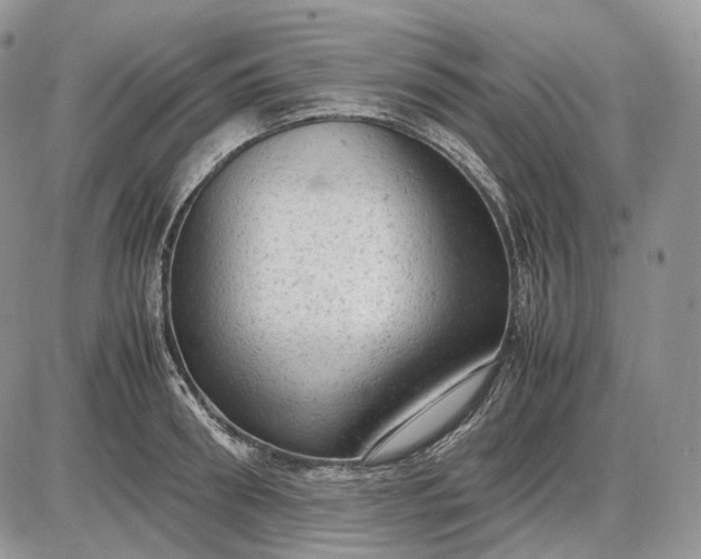 X0000085010898200703191112