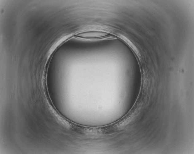 X0000085010901200703191112