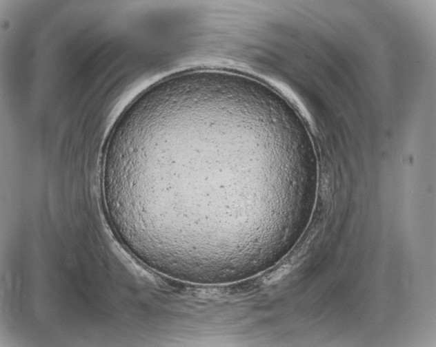 X0000085010903200703191112