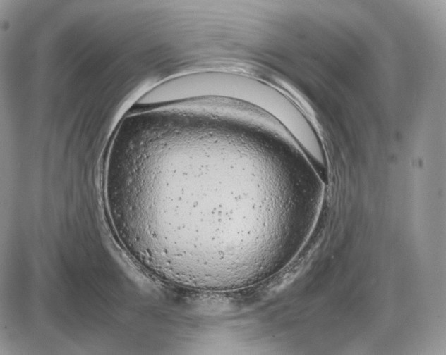 X0000085010907200703191112
