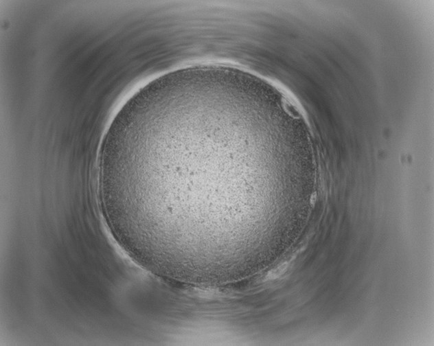 X0000085010911200703191112