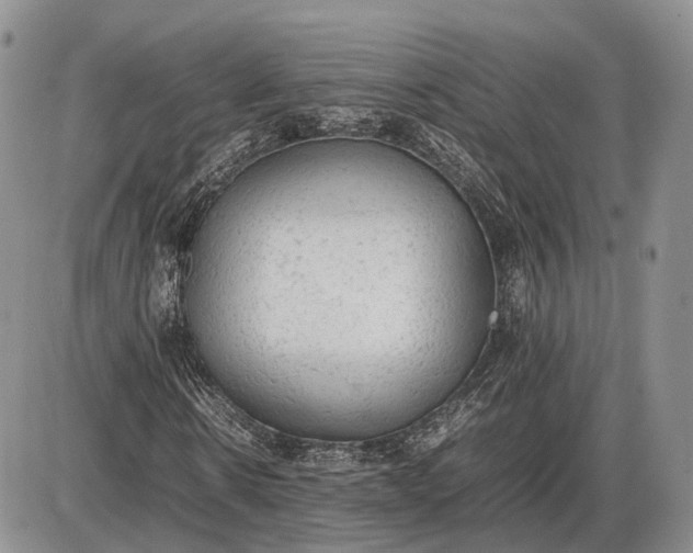 X0000085010914200703191111