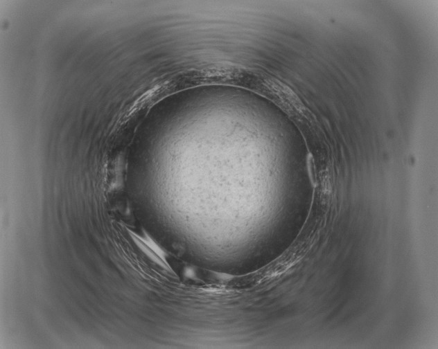 X0000085010916200703191111