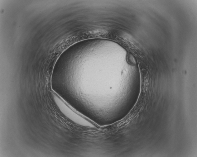 X0000085010917200703191111