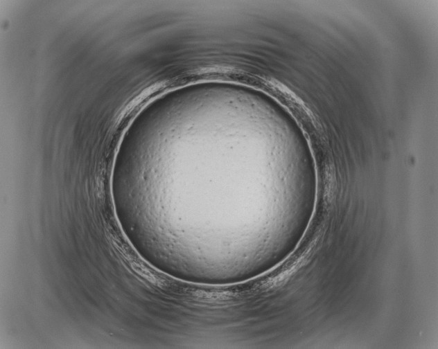 X0000085010921200703191111