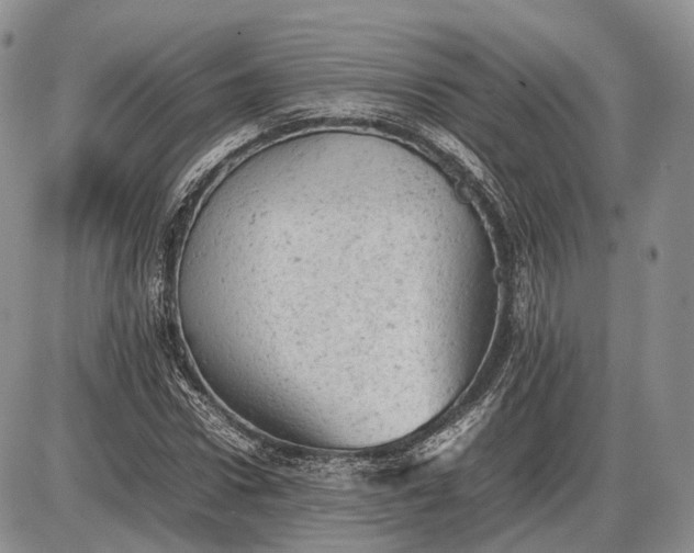 X0000085010922200703191111