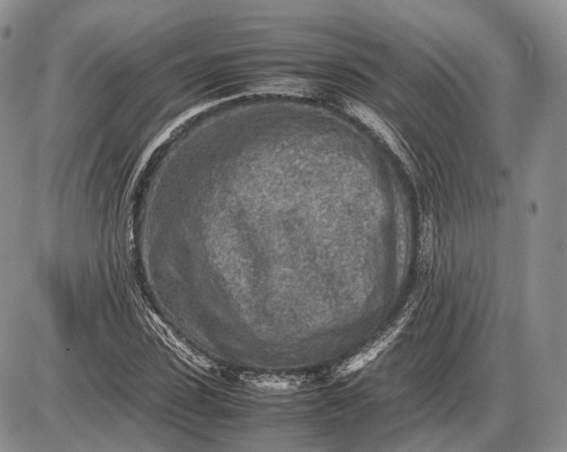 X0000085010923200703191111