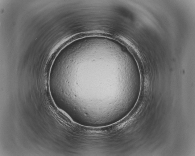 X0000085010925200703191111