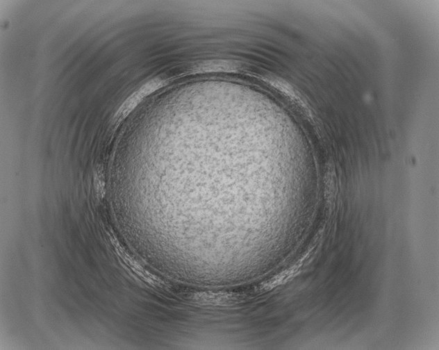 X0000085010929200703191112