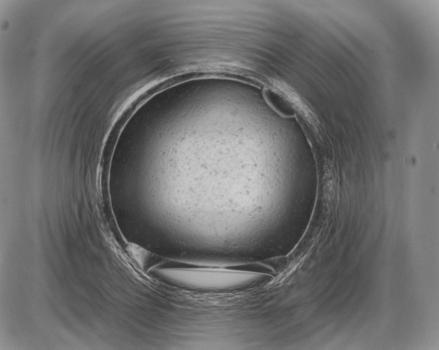X0000085010932200703191112