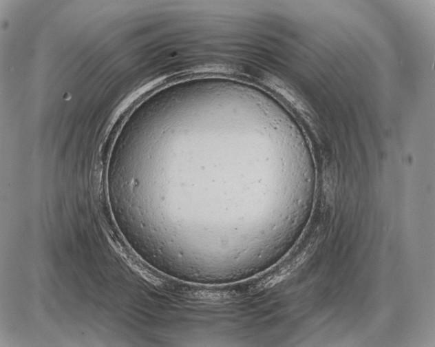 X0000085010933200703191112