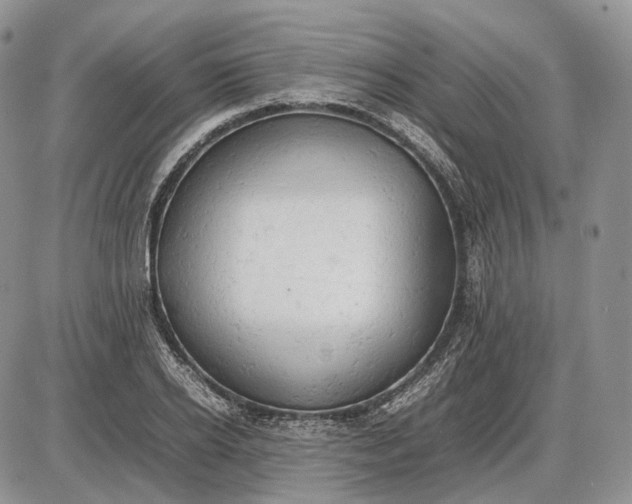 X0000085010934200703191112
