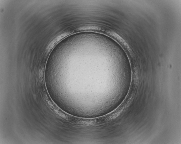 X0000085010937200703191112
