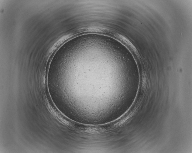 X0000085010938200703191112