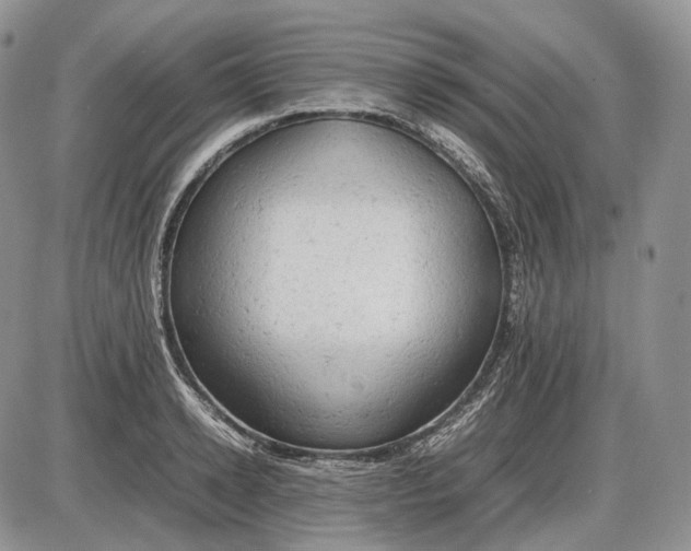 X0000085010942200703191112