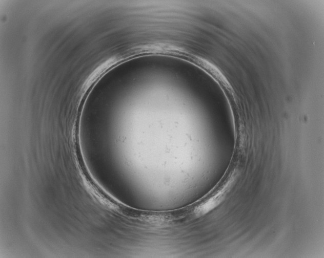 X0000085010946200703191112