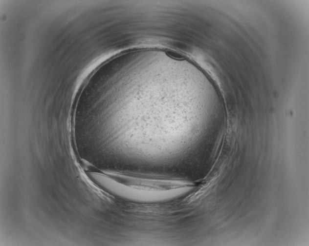 X0000085010951200703191112