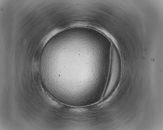 X0000085010953200703191112