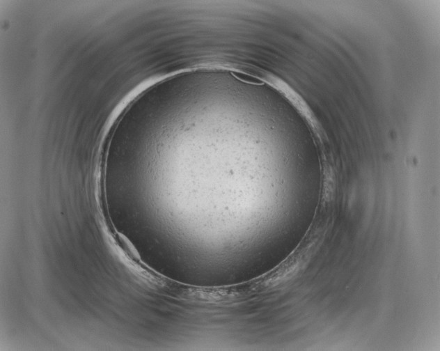 X0000085010955200703191112