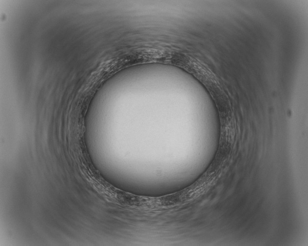 X0000085010961200703191111
