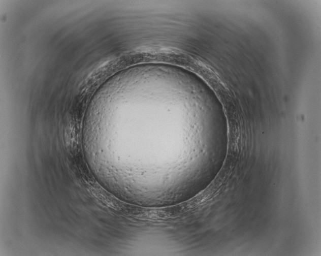 X0000085010966200703191111
