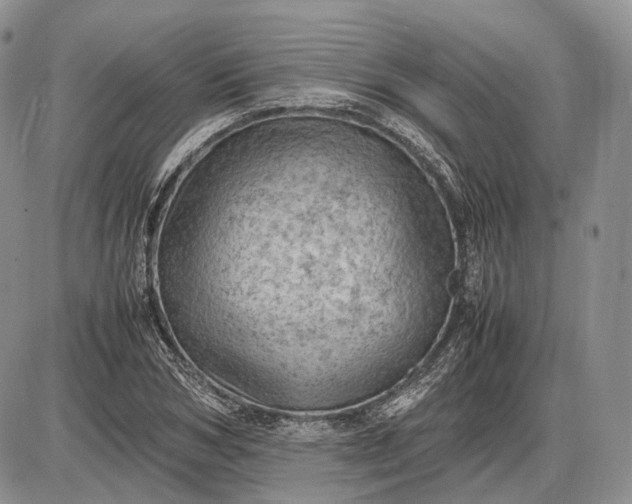X0000085010978200703191111