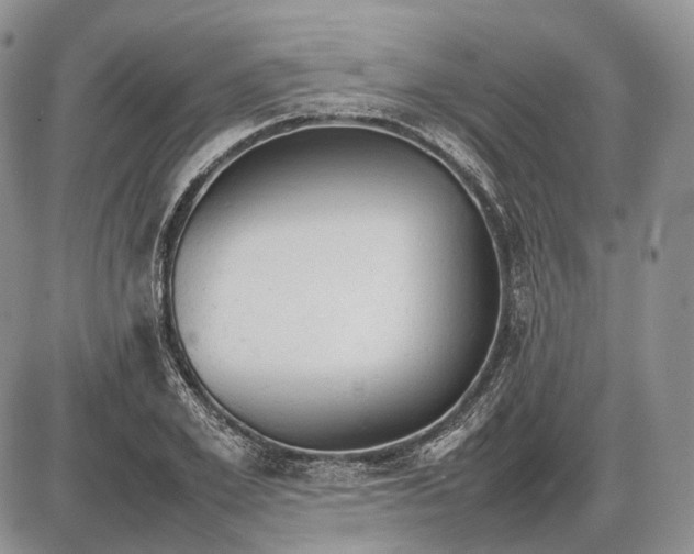 X0000085010981200703191111