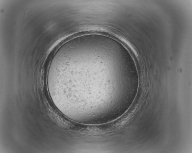 X0000085010983200703191111