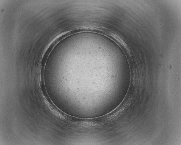 X0000085010984200703191111