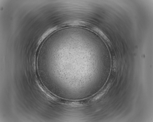 X0000085010986200703191111