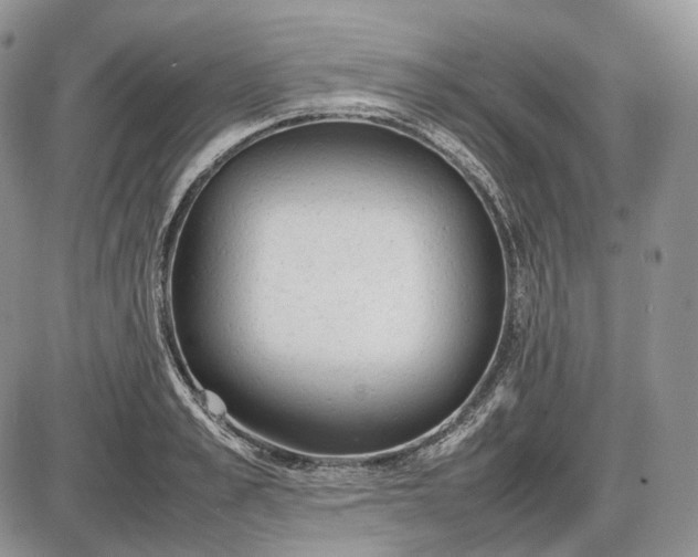 X0000085010989200703191111