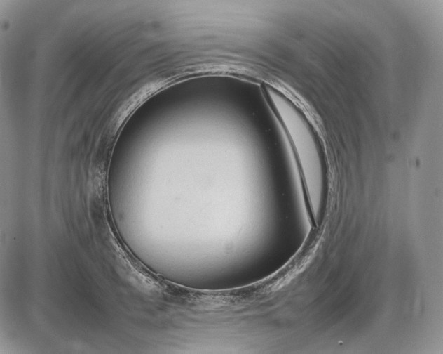 X0000085010993200703191111
