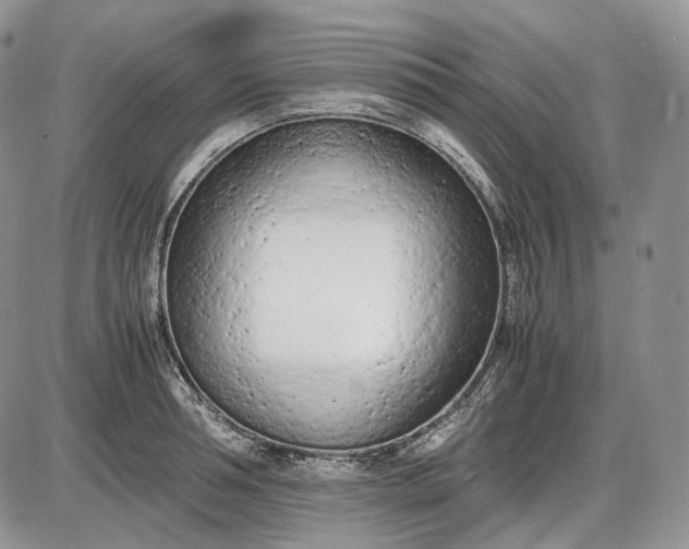 X0000085010994200703191111