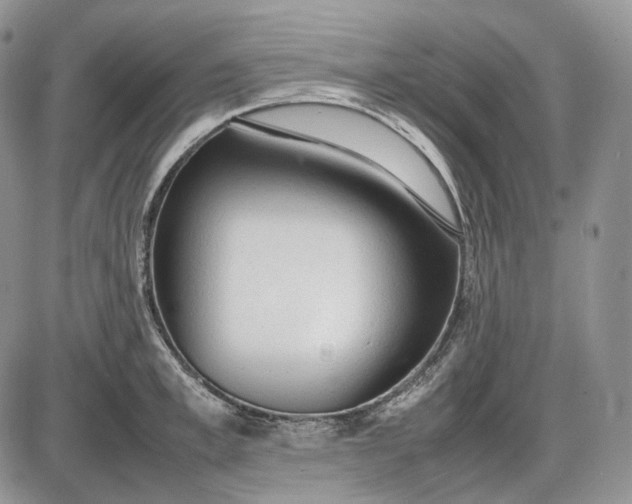 X0000085010997200703191111
