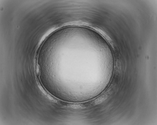X0000085010998200703191111