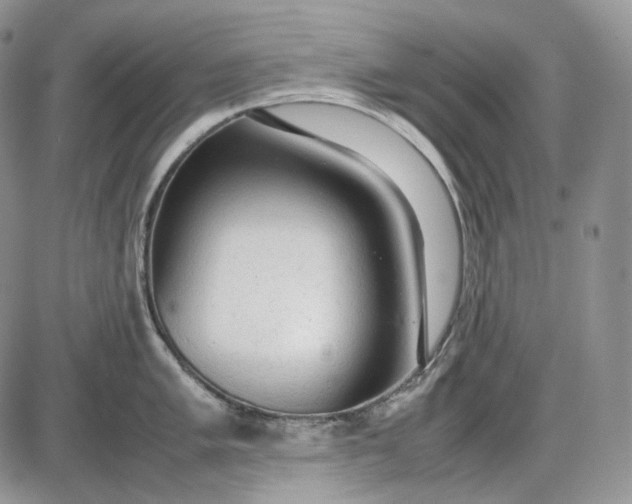 X0000085011005200703191111