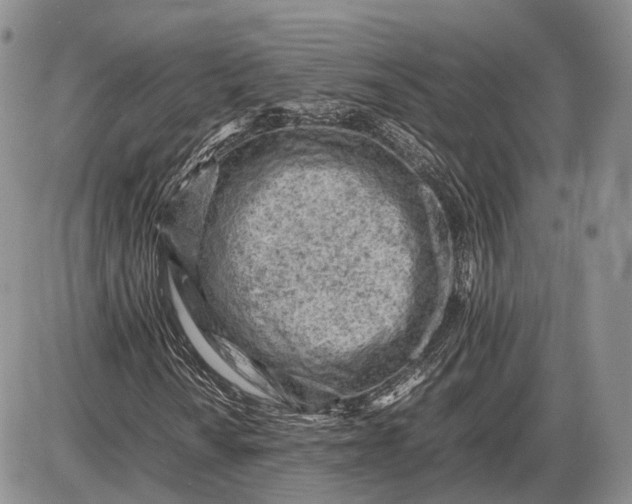 X0000085011010200703191110