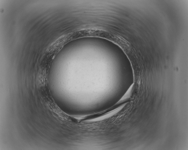 X0000085011014200703191110