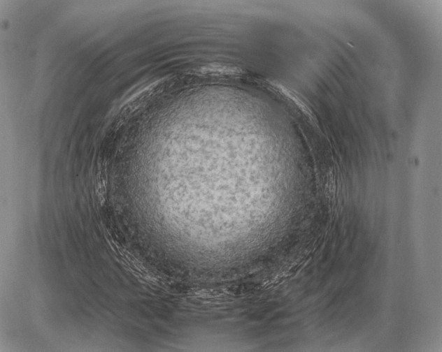 X0000085011015200703191110