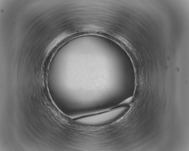 X0000085011022200703191110