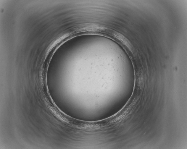 X0000085011026200703191110