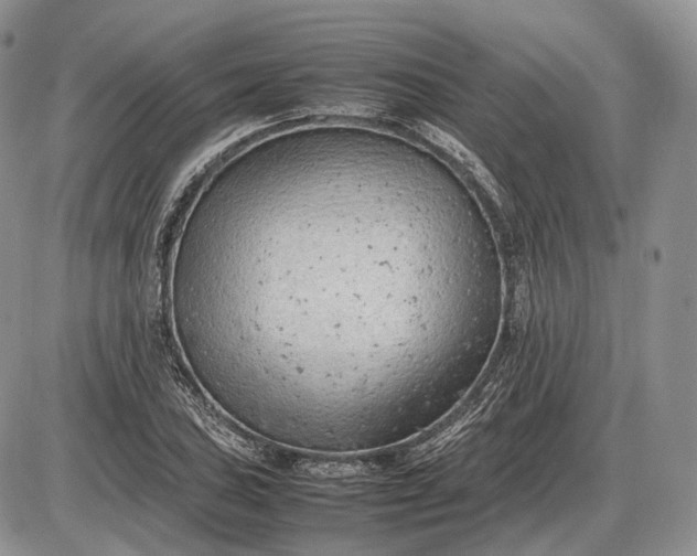 X0000085011027200703191110